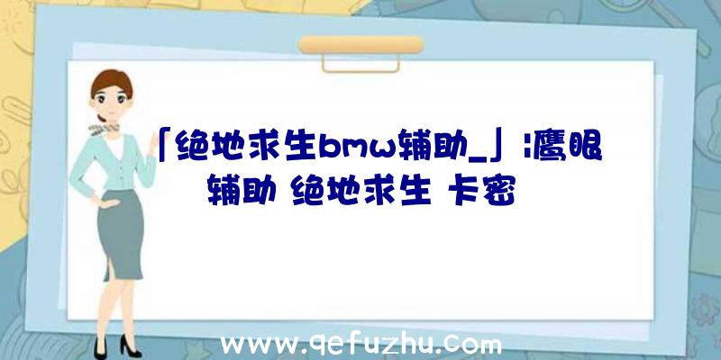 「绝地求生bmw辅助_」|鹰眼辅助